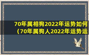 70年属相狗2022年运势如何（70年属狗人2022年运势运程每月运 🐕 程）